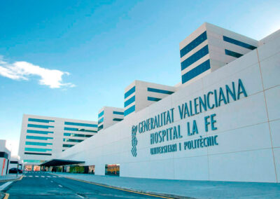 Hospital de la Nueva Fe (Valencia)