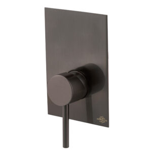 Grifo ducha empotrable 1 vía Theo cromo negro cepillado