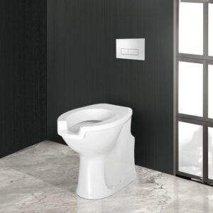 Inodoro con cisterna empotrada doble descarga pulsador cromo mate y asiento